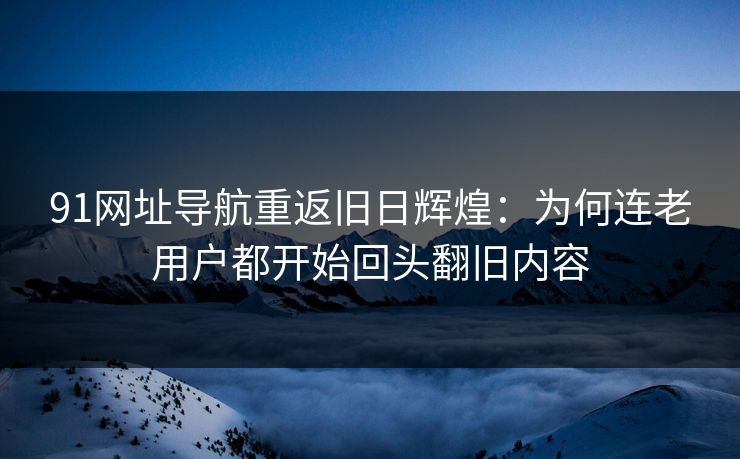 91网址导航重返旧日辉煌：为何连老用户都开始回头翻旧内容
